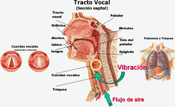 Efectos auditivos